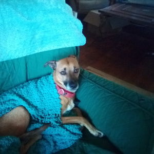 Meet your Posher, Franci